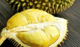 吃瓜娱乐间榴莲,热带果王背后的传奇与争议